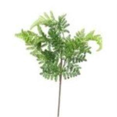 <h4>Athyrium leaf spray green 57cm</h4>