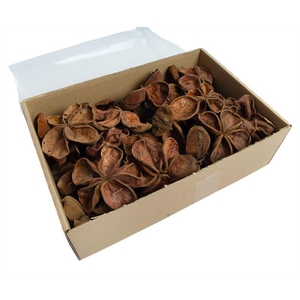 Land lotus naturel