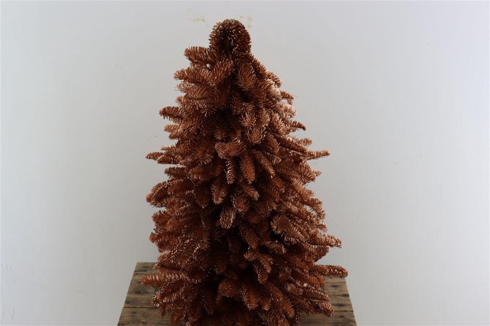 <h4>Nobilisboom Color Copper 60cm</h4>