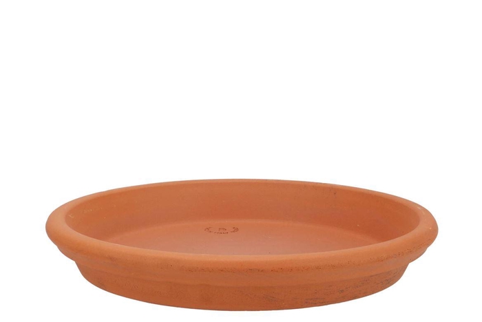 Terracotta Waterdish D25xh4cm Nm