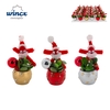 Concepts® - Christmas Dobbel met stuksverpakking Concepts®
