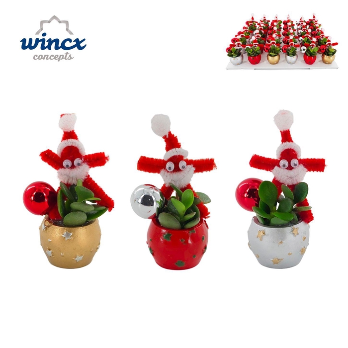 Concepts® - Christmas Dobbel met stuksverpakking Concepts®