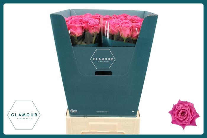 <h4>R GR TAN CHARLOTTE</h4>