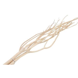 Mitsumata Naturel 3pc Bunch