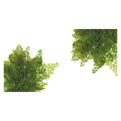 <h4>Fern Lutti Verde FLU/9103</h4>