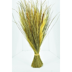 DF Bouquet Sheaf-Typha Nat.