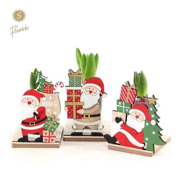 <h4>(1401) Hyacint Santa's Present 1PP</h4>
