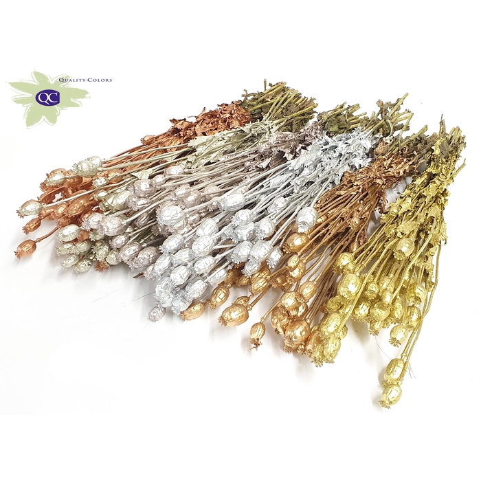 <h4>Papaver per bunch Mixed colours Metallic</h4>