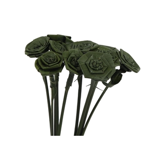 Aspidistra Rozen Small