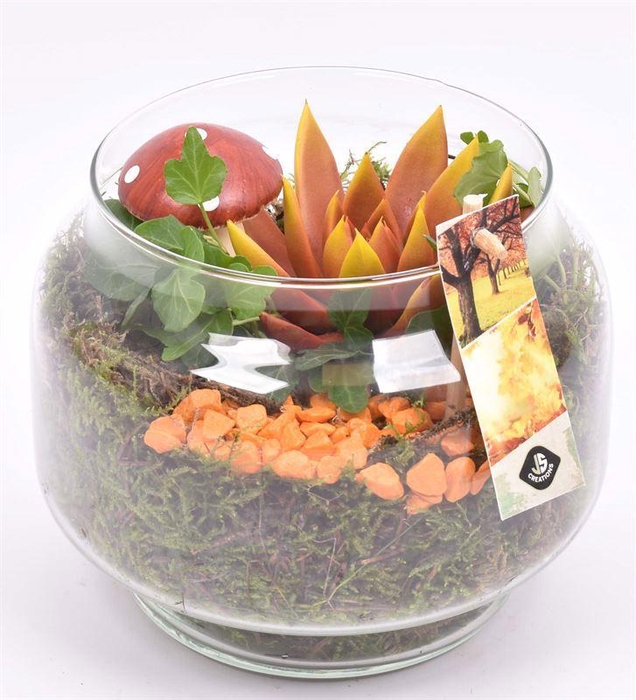 <h4>Glas op voet 18cm</h4>