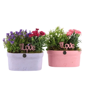 21986: Love outdoor arrangement