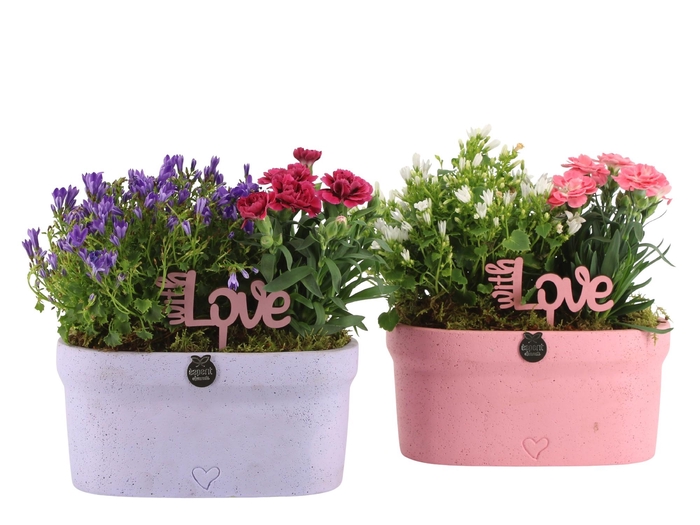 <h4>21986: Love outdoor arrangement</h4>