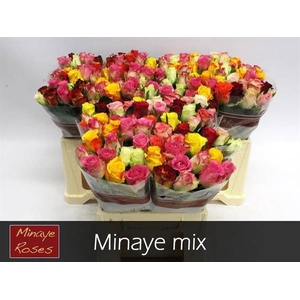R Gr Mix In Bunch Minaye