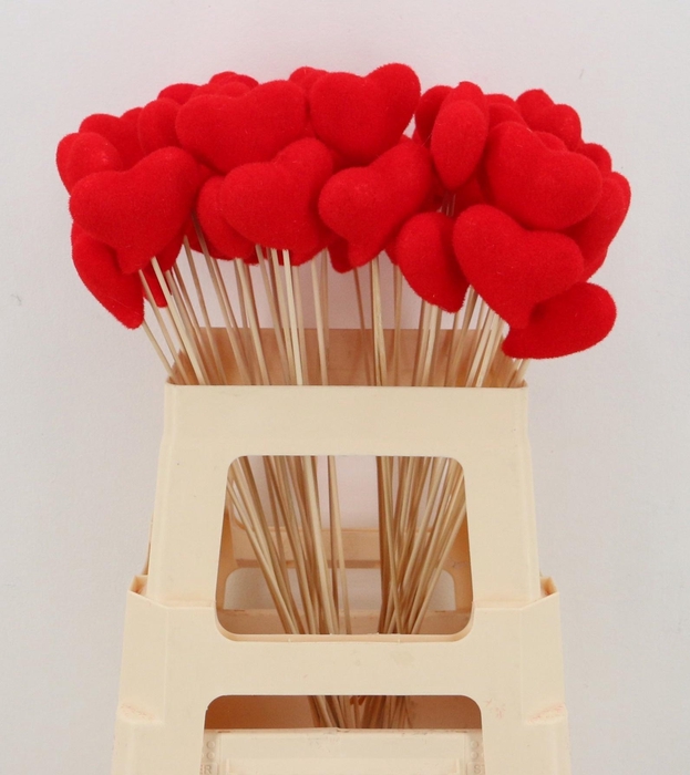 <h4>HUIS EN TUINDECO H%</h4>