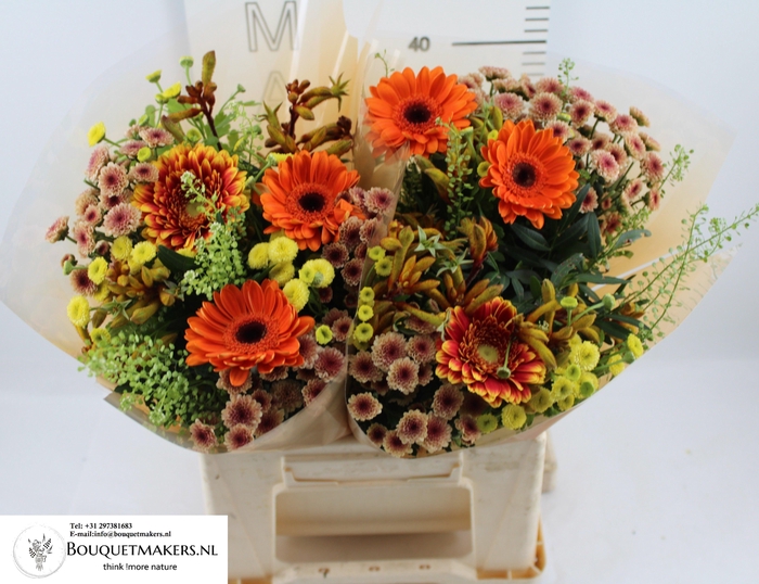 <h4>GEM BOEKET OV</h4>