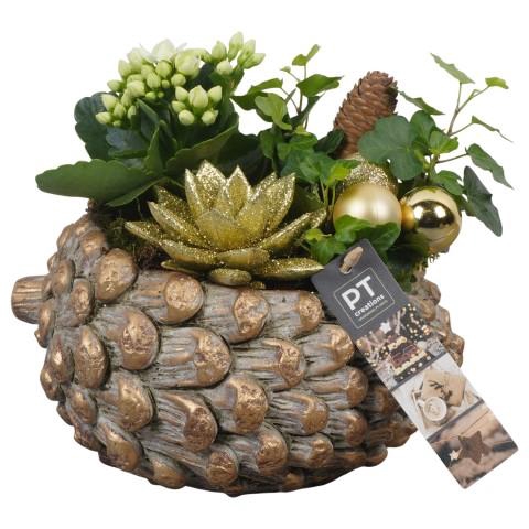<h4>PTCHG5645 Arrangementen Kerst</h4>