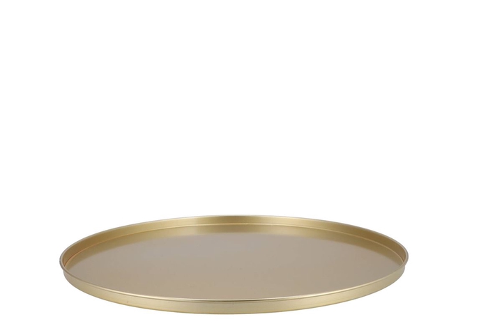 <h4>Coaster Majestic Gold Tray Metal 46x2cm</h4>
