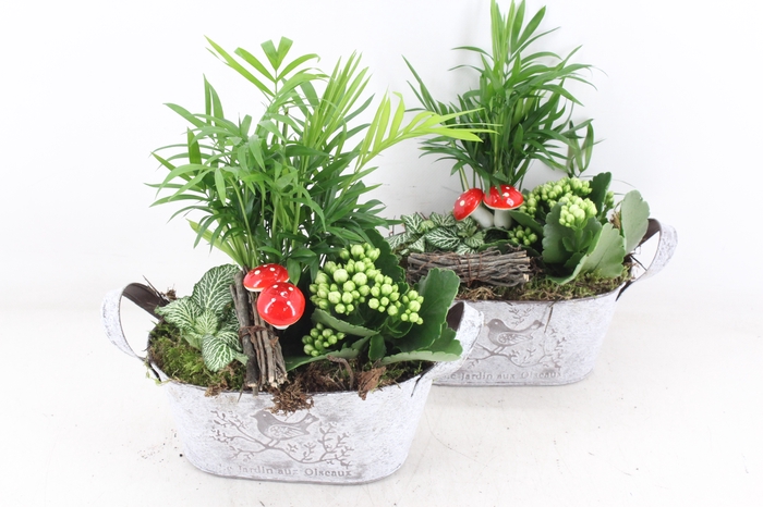 arr2 TD - Zink ovaal - rood/wit