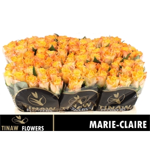 R GR MARIE-CLAIRE!