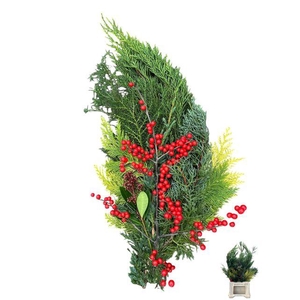 KERSTGROEN OV BS X6 PER FUST#