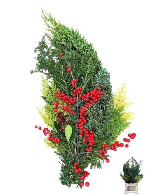 <h4>KERSTGROEN OV BS X6 PER FUST#</h4>