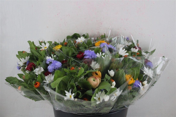 <h4>Boeket Primavera P Bunch</h4>