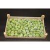 F Appel Groen 5kg
