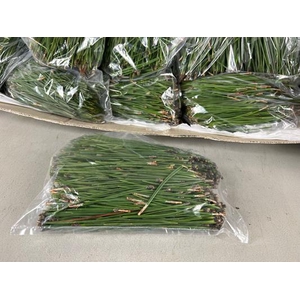 Pinus Naald Per Zak 500g