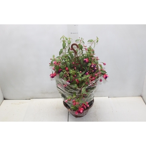 BRINCO DE PRINCESA C21