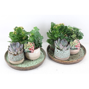 arr2 MB - Ker. luxe 3potjes mix indoor