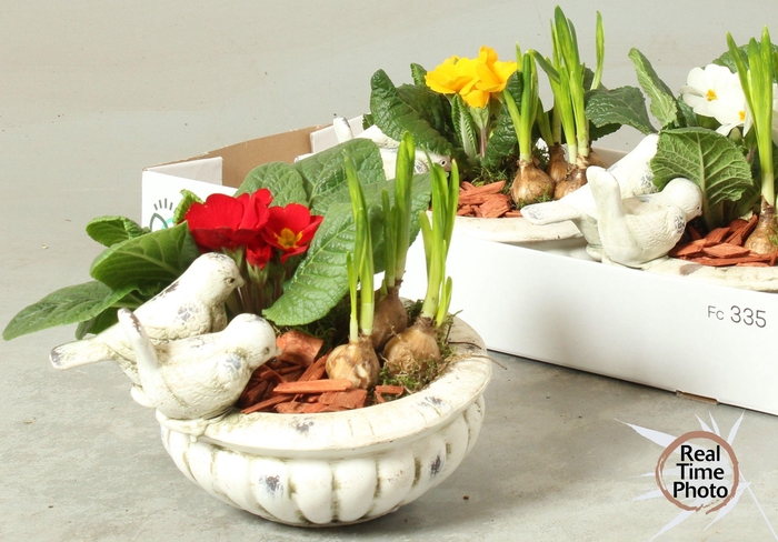 <h4>ARR KAMERPL</h4>