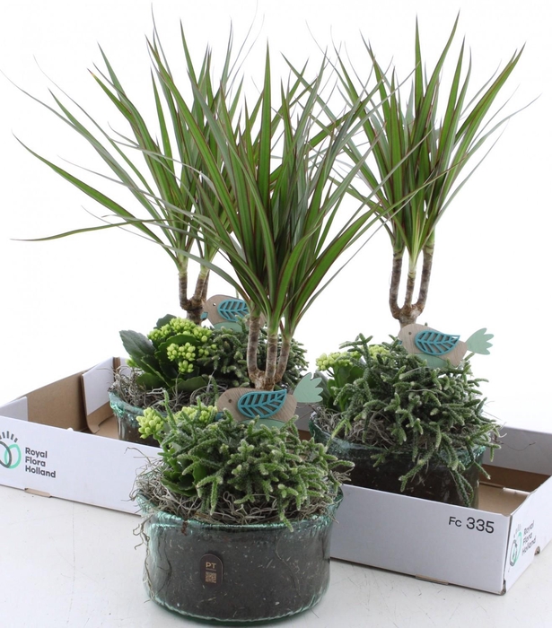 <h4>ARR KAMERPL</h4>