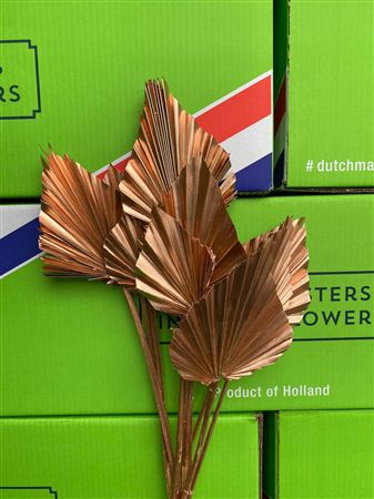 <h4>DRY PALM SPEAR MED 5PC COPPER BUN</h4>