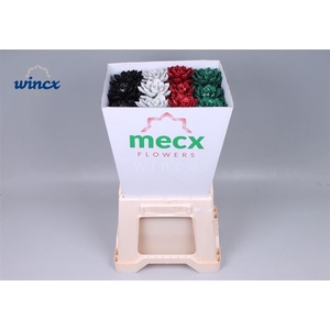 Echeveria Glitter X-mas Mix (mecx Flowers) Mecx-em