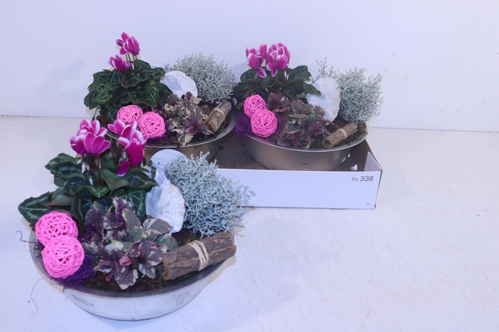 <h4>ARR TUINPLANTEN</h4>