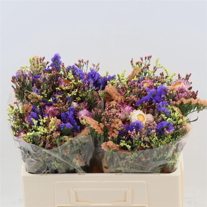 Gemengd Boeket Zomerboeket Overig