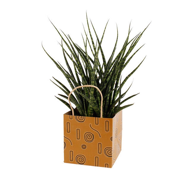 <h4>Bag Mosa cardboard 13x13xH13cm brown</h4>