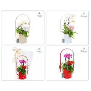 Led planter zink boog met Arrangement