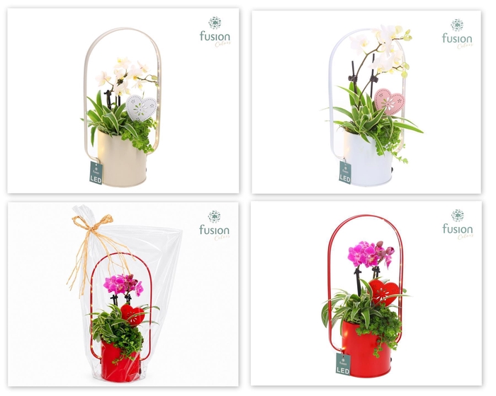 <h4>Led planter zink boog met Arrangement</h4>
