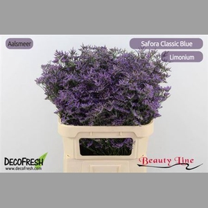 Lim Saf Classic Blue