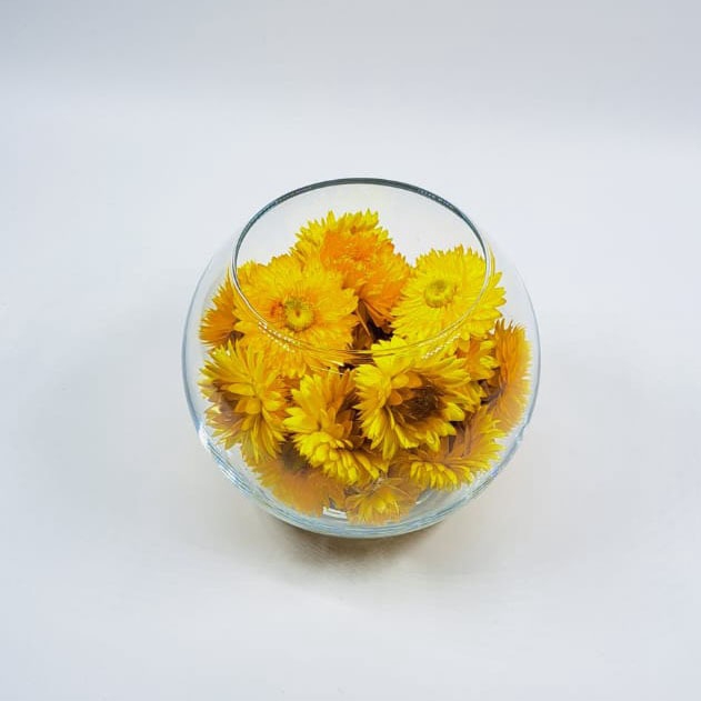 Bol d10cm helichrysum geel droog
