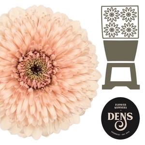 Germini Pomponi Jayjay Diamond