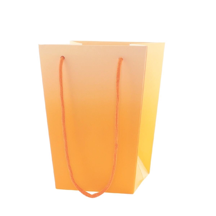 <h4>Bags Noor 15/15*11/11*20cm</h4>