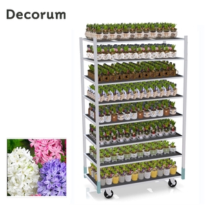 CC KERST MINI 2025 - 1 prijs per stuk, incl. fust