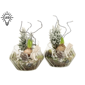 61968: X-mas arrangement met LED