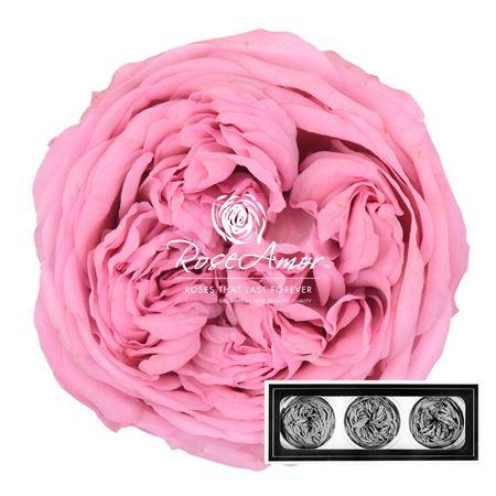 <h4>Kabukyza Per 3 Pin04</h4>