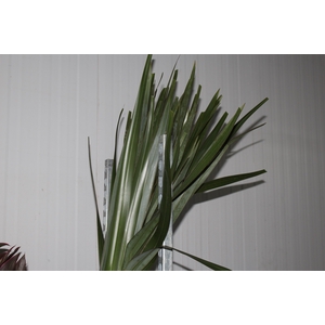 FOLHAGEM FIBRA 150 CM VERDE