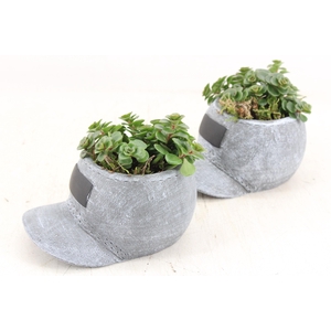 arr3 SN - Ker. cap 999/6