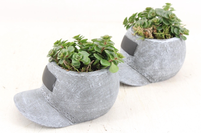 <h4>arr3 SN - Ker. cap 999/6</h4>