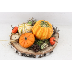 arr4 Sierfruit MB - Hout schijf XL OR